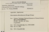 登錄號:F0016369藏品圖，第5張