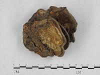 登錄號:F0016370藏品圖，第1張