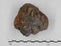 登錄號:F0016370藏品圖，第3張