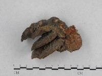 登錄號:F0016370藏品圖，第4張