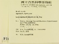 登錄號:F0016372藏品圖，第2張