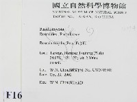 登錄號:F0016374藏品圖，第2張