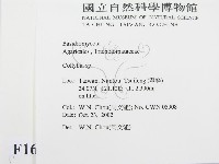 登錄號:F0016376藏品圖，第2張