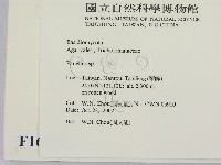 登錄號:F0016378藏品圖，第2張