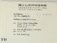 登錄號:F0016379藏品圖，第2張