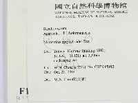 登錄號:F0016381藏品圖，第2張