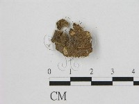 登錄號:F0016381藏品圖，第1張