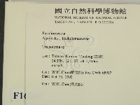 登錄號:F0016385藏品圖，第2張