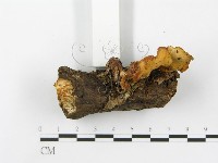 登錄號:F0016387藏品圖，第3張