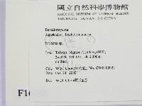 小菇屬藏品圖，第2張