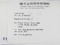 登錄號:F0016389藏品圖，第2張