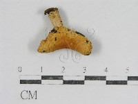 登錄號:F0016389藏品圖，第1張