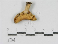 登錄號:F0016389藏品圖，第3張