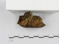 登錄號:F0016390藏品圖，第4張