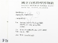 登錄號:F0016392藏品圖，第2張