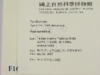 登錄號:F0016393藏品圖，第2張