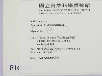 小菇屬藏品圖，第2張