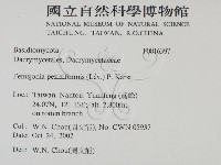 登錄號:F0016397藏品圖，第2張