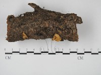 登錄號:F0016397藏品圖，第1張