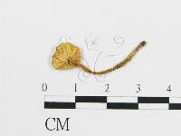 登錄號:F0016400藏品圖，第1張