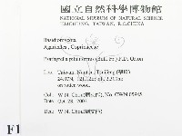 登錄號:F0016403藏品圖，第2張