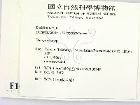 花耳屬藏品圖，第2張