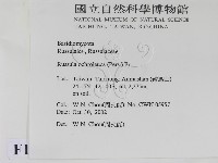 登錄號:F0016410藏品圖，第2張