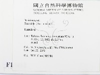 紅菇屬藏品圖，第2張