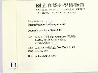 登錄號:F0016413藏品圖，第2張