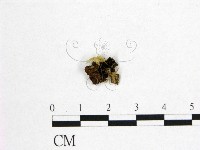 登錄號:F0016413藏品圖，第1張