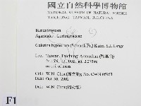 登錄號:F0016414藏品圖，第2張