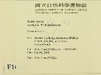 登錄號:F0016416藏品圖，第2張