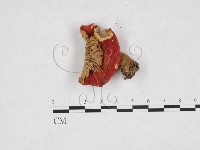 登錄號:F0016417藏品圖，第1張