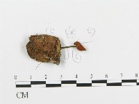 登錄號:F0016418藏品圖，第1張