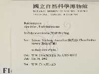 登錄號:F0016419藏品圖，第2張