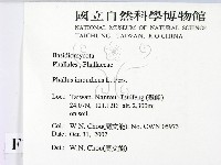 登錄號:F0016420藏品圖，第2張