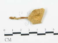 登錄號:F0016422藏品圖，第3張