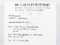 登錄號:F0016425藏品圖，第2張