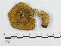 登錄號:F0016427藏品圖，第1張