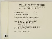 登錄號:F0016428藏品圖，第2張