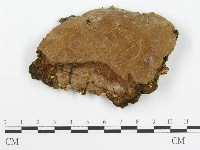 登錄號:F0016429藏品圖，第1張