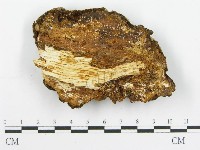 登錄號:F0016429藏品圖，第3張