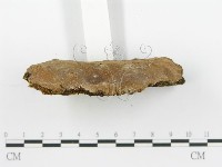 登錄號:F0016429藏品圖，第4張