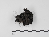 登錄號:F0016431藏品圖，第1張