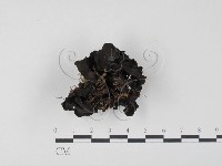 登錄號:F0016431藏品圖，第3張