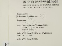 銀耳屬藏品圖，第2張