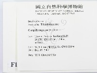 登錄號:F0016433藏品圖，第2張