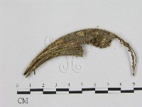 登錄號:F0016434藏品圖，第1張