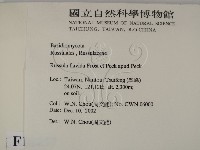 登錄號:F0016437藏品圖，第2張