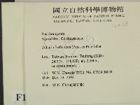 登錄號:F0016438藏品圖，第2張